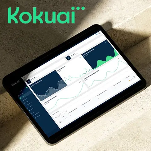 kokuai