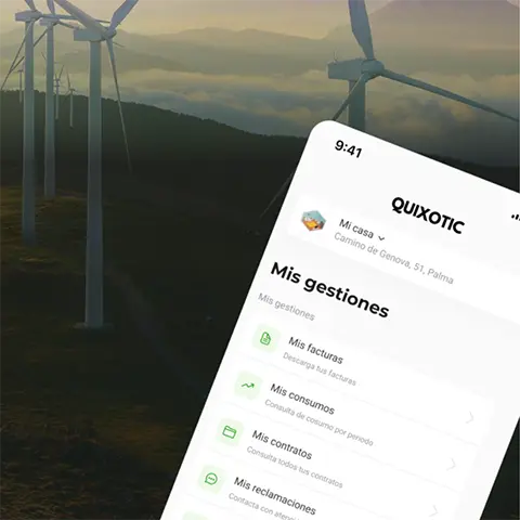 Quixotic